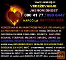 VEDEŽEVANJE-VIDENJE PRI ORAKLJU ZA PRIHODNOST 0904177