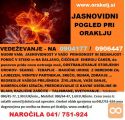 PREROKOVANJE IN POGLED V PRIHODNOST NAROČILA 041751924
