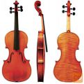 Violina Maestro Vi B