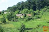 Šentjur Zazidljiva 7500 m2