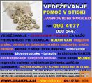 VEDEŽEVANJE-JASNOVIDNI POGLED V VAŠO PRIHODNOST NA 0904177