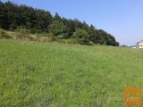 Trebnje Medvedjek Zazidljiva 1918 m2