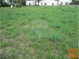 DVE GRADBENI PARCELI, 589m2 In 586m2 PTUJ