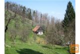 POSESTVO Z ZIDANICO