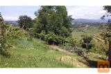 Brda Vipolže Zazidljiva 4000 m2