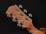 RICHWOOD D-20-E MASTER Akustična kitara akustične kitare