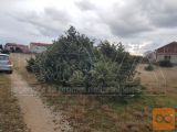 Nin Vrsi Zazidljiva 500 m2