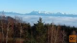 Ig Visoko Kurešček Zazidljiva 1423 m2