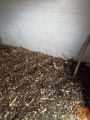 Drobilec Hecht,2600w,do 4,5cm, z valckom