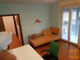 Vič-Rudnik Dolgi most soba 11 m2