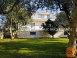 Zadar Diklo Samostojna 324 m2