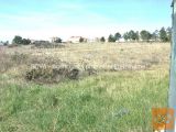 Nin Vrsi Zazidljiva 1228 m2