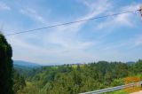 Novo mesto Birčna vas 42369 m2