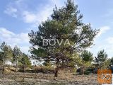 Nin Vrsi Zazidljiva 432 m2
