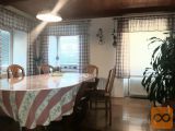 Trebnje Samostojna 302,90 m2