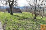 Ptuj 13000 m2