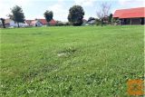 Ptuj Zazidljiva 1166 m2