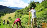 Iščem priložnostno delo - Jesenice