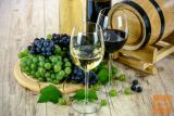 Prodam domače vino