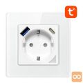 Pametna WiFi stenska vtičnica 16A 2xUSB bela Alexa Google