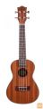 Ukulele-koncertna JM Forest model BC2